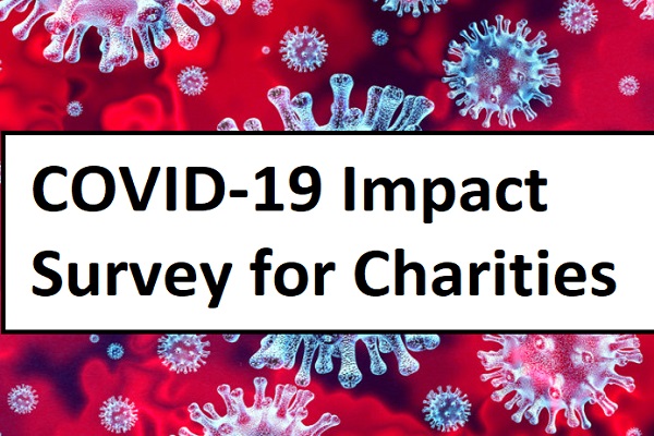 Racing Foundation launches COVID-19 Impact Survey for Racing Charities Image Racing Foundation launches COVID-19 Impact Survey for Racing Charities Image